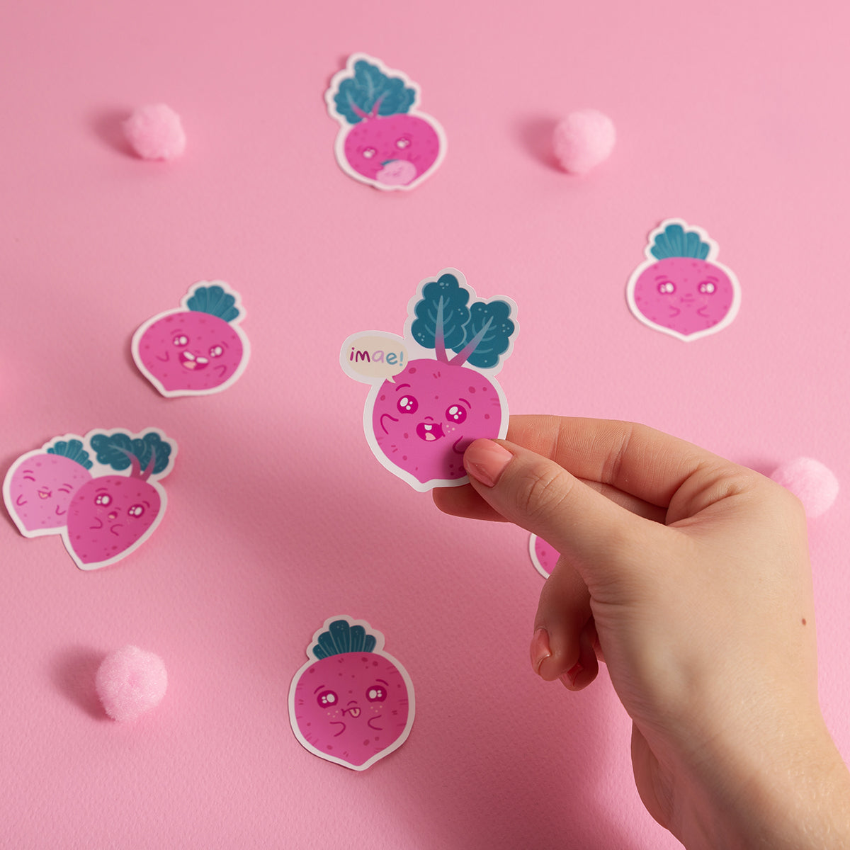 Set de Stickers Remolachitas