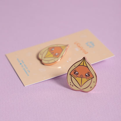 Pin Uchuvita